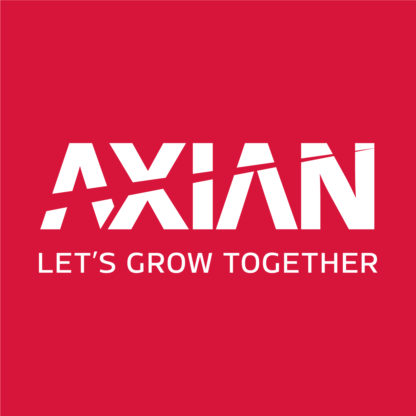 Logo Axian
