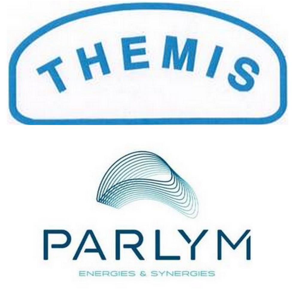 Logo Themis